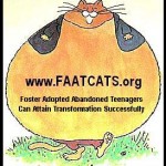 FAATCATS5_000