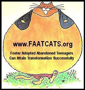 FAATCATS5_000